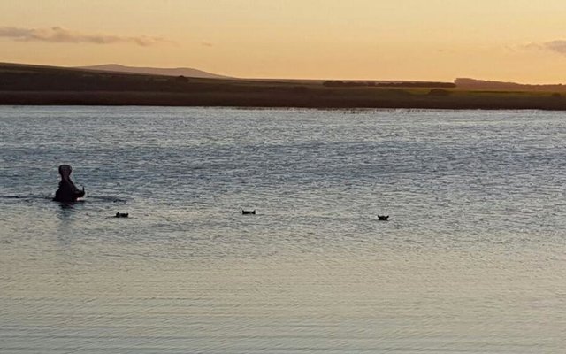 Gansbaai Braaing for the Agulhas Plains rich biodiversity 2